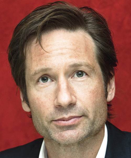 David Duchovny Short Straight     Hairstyle