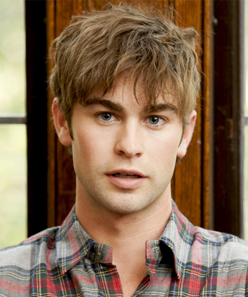 Chase Crawford Short Straight   Light Brunette   Hairstyle