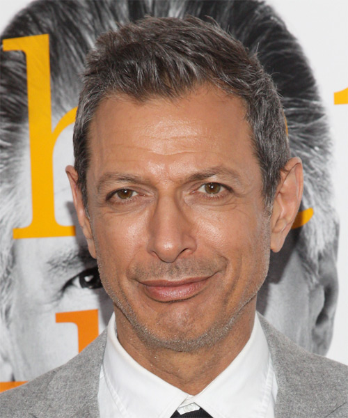 Jeff Goldblum Short Straight    Grey   Hairstyle