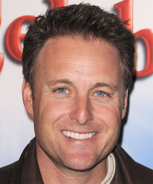 Chris Harrison Short Straight   Dark Grey   Hairstyle