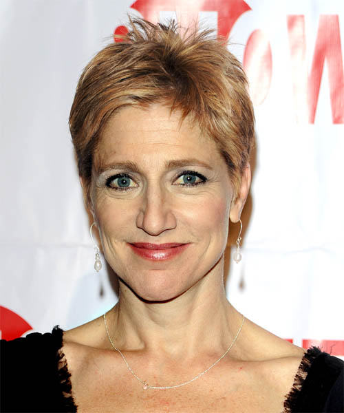 Edie Falco Short Straight     Hairstyle  