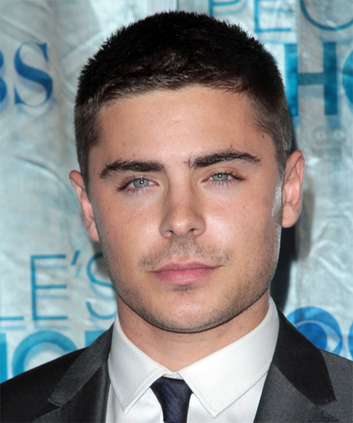 Zac Efron Short Straight   Dark Brunette