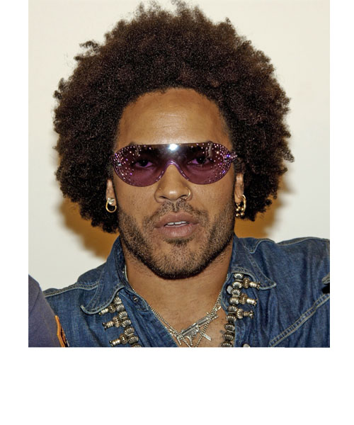 Lenny Kravitz Medium Curly   Afro  Hairstyle