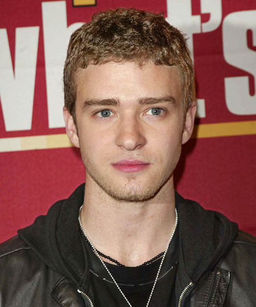 Justin Timberlake Short Curly   Dark Copper Blonde   Hairstyle  