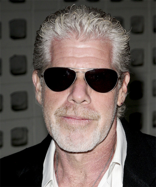Ron Perlman Short Curly Casual Hairstyle - Grey Hair Color