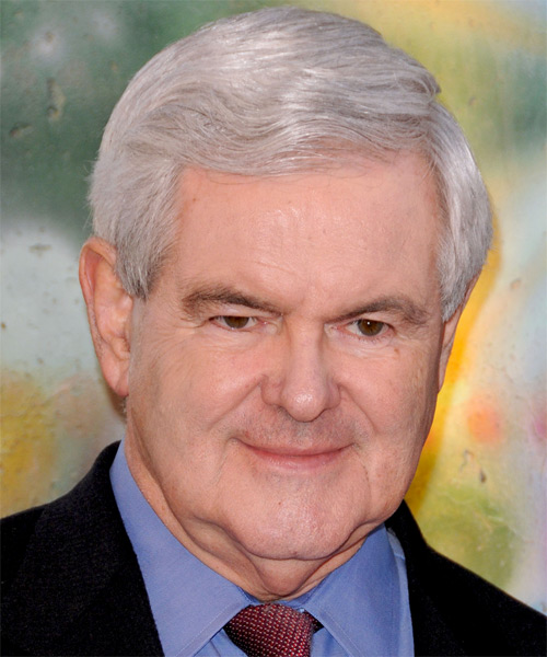 Newt Gingrich Short Straight   Light Grey Grey   Hairstyle  