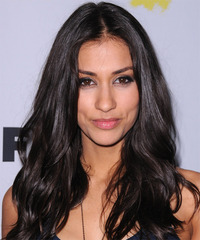 Janina Gavankar Hairstyles