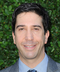 David Schwimmer Hairstyles