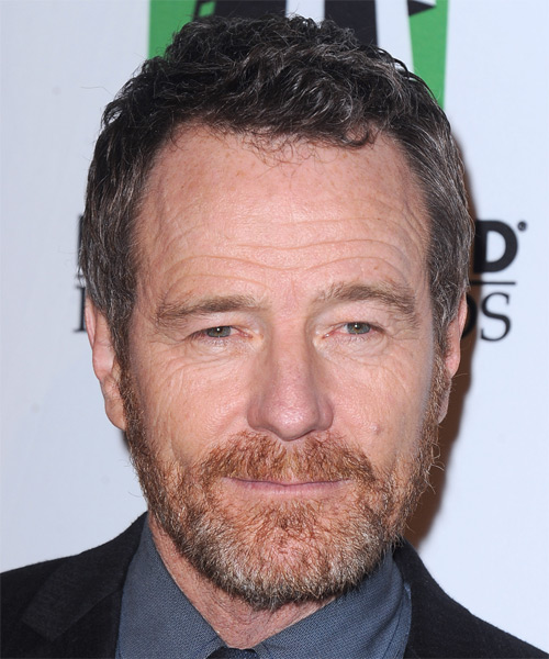 Bryan Cranston Short Straight    Grey Brunette