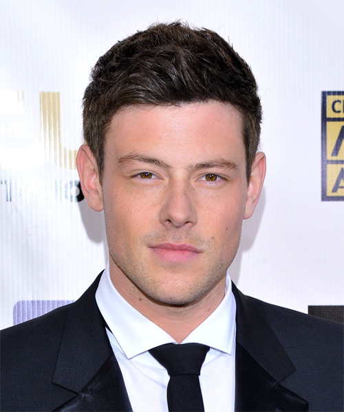 Corey Monteith Short Straight     Hairstyle
