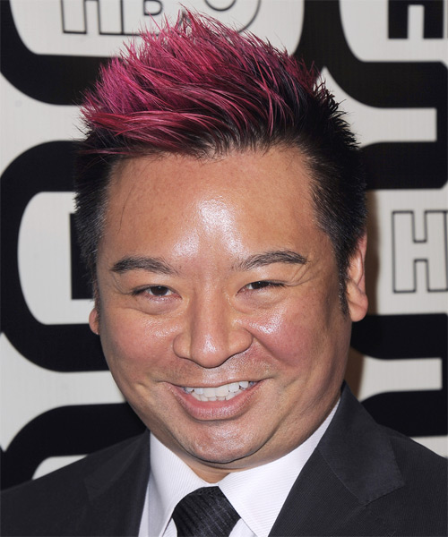 Rex Lee Short Straight   Pink  and Black Two-Tone   Hairstyle