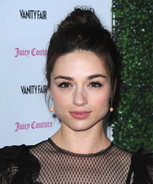 Crystal Reed  Long Straight   Dark Brunette  Updo Hairstyle