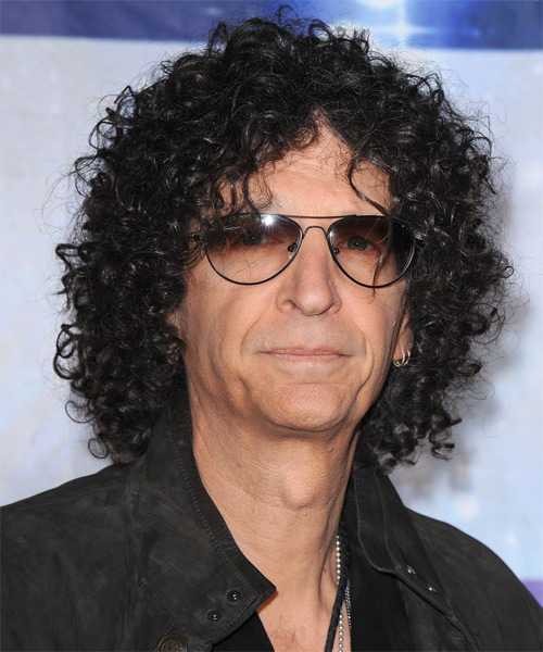 Howard Stern Long Curly   Black