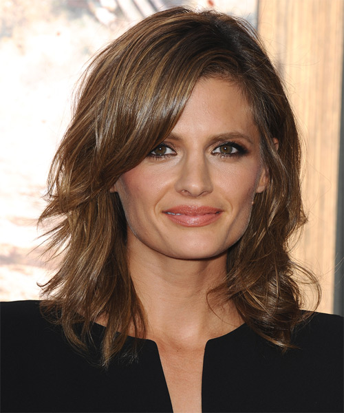 Stana Katic Medium Straight Hairstyle - Medium Chestnut Brunette Hair Color with Dark Blonde Highlights