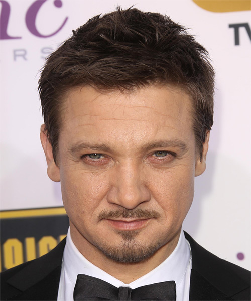 Jeremy Renner  Short Straight     Hairstyle
