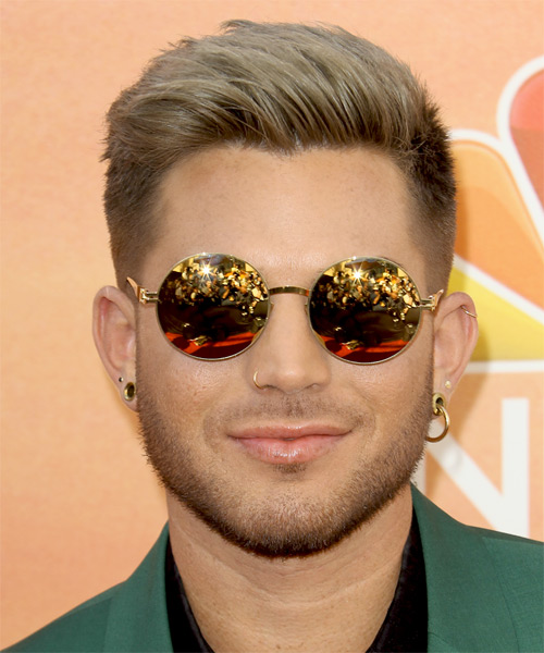 Adam Lambert Short Straight Formal Hairstyle - Light Ash 