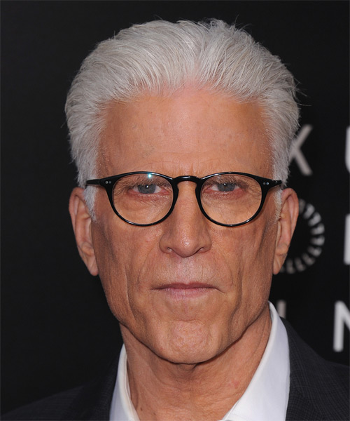 Ted Danson Short Straight   Light Grey   Hairstyle