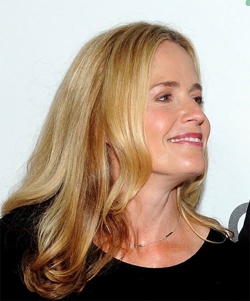 Elisabeth Shue Long Wavy    Blonde and  Brunette Two-Tone - side on view