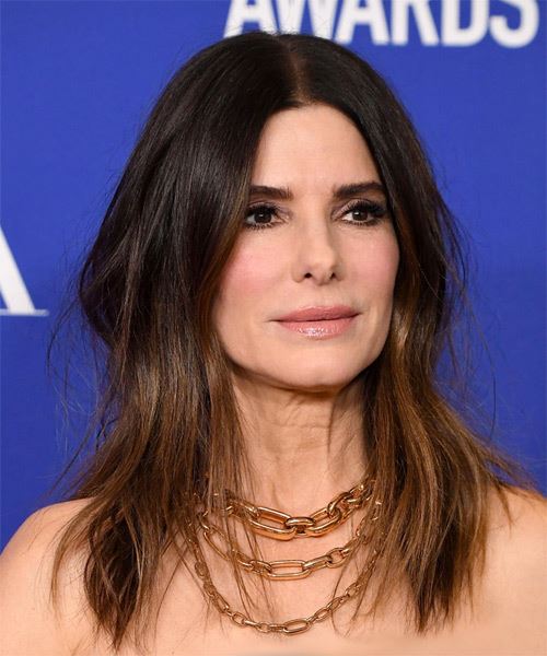 Sandra Bullock Long Straight   Black  and  Brunette Two-Tone - side on view