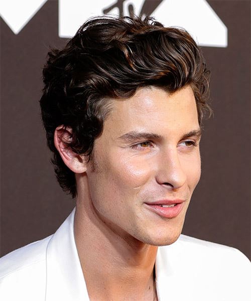 Shawn Mendes Short Wavy   Black    Hairstyle   - Side on View