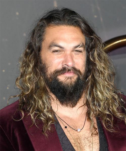Jason Momoa Long Curly Black Hairstyle with Light Brunette Highlights