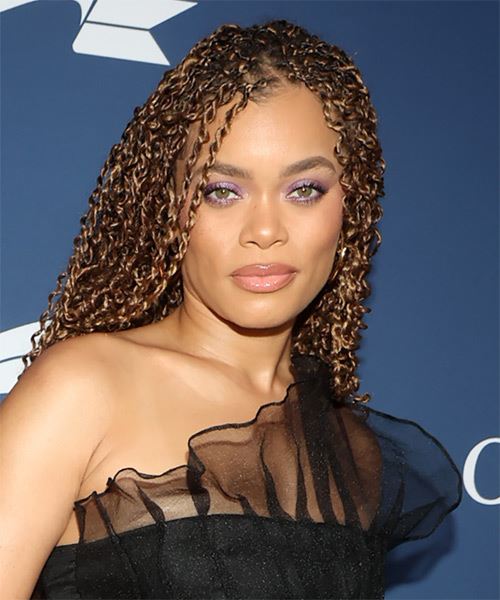 Andra Day Long Hairstyle With Tight Curls - side on view