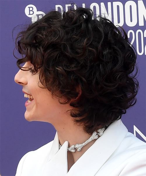 Timothee Chalamet Hairstyle With Curls