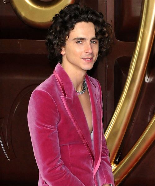 Timothee Chalamet Casual Curly Hairstyle - side on view