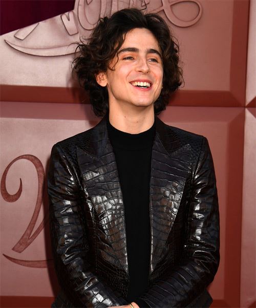 Timothee Chalamet Medium-Length Hairstyle With Natural Waves - side on view