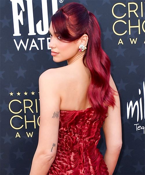Dua Lipa Dark Red Half-Up Hairstyle - side on view