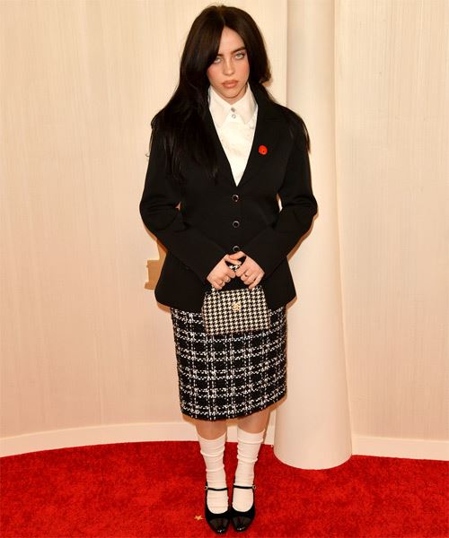 Billie Eilish Voluminous Long Hairstyle From 2024 Oscars - side on view