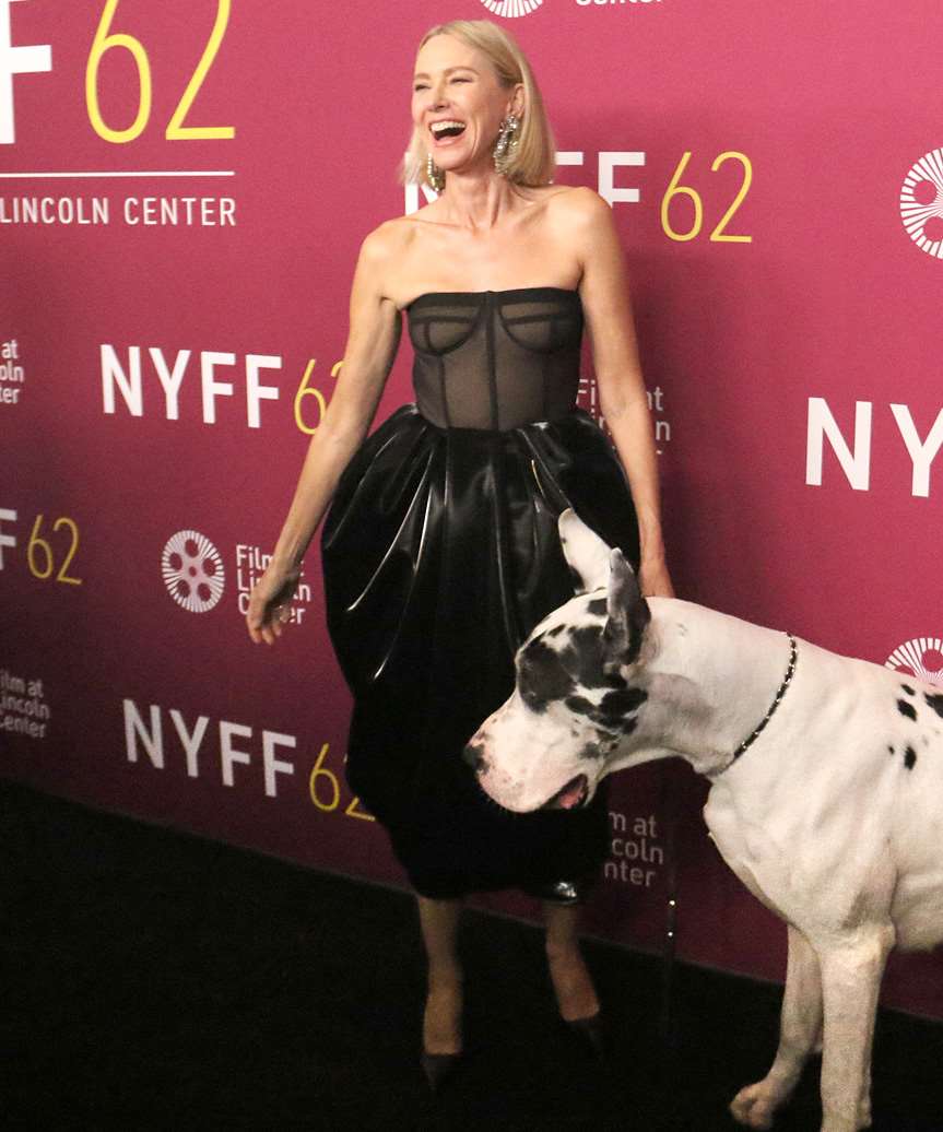 Naomi Watts Blunt Bob Cut - view from the side