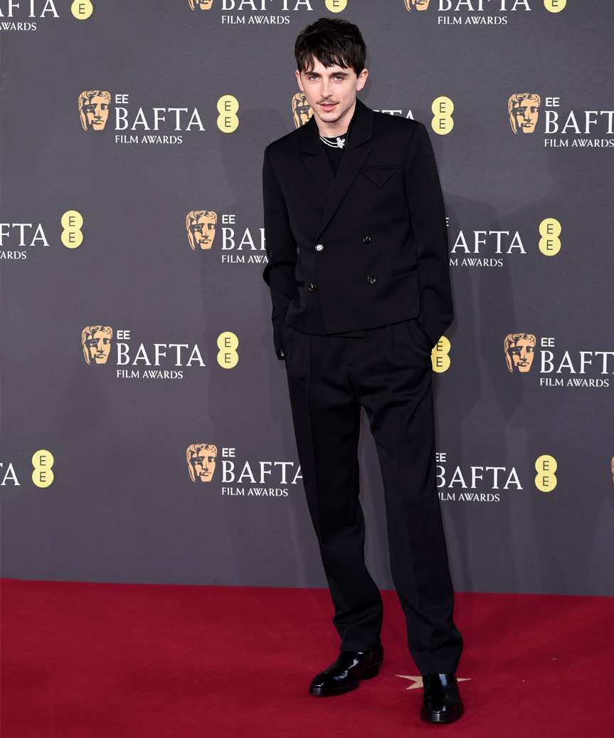 Timothee Chalamet Hairstyle With Bangs - view from the side