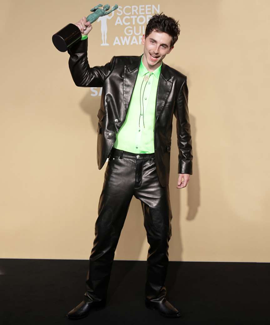 Timothee Chalamet Short Spiky Hairstyle - view from the side