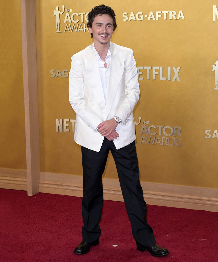 Timothee Chalamet Short Hairstyle With Natural Waves - view from the side