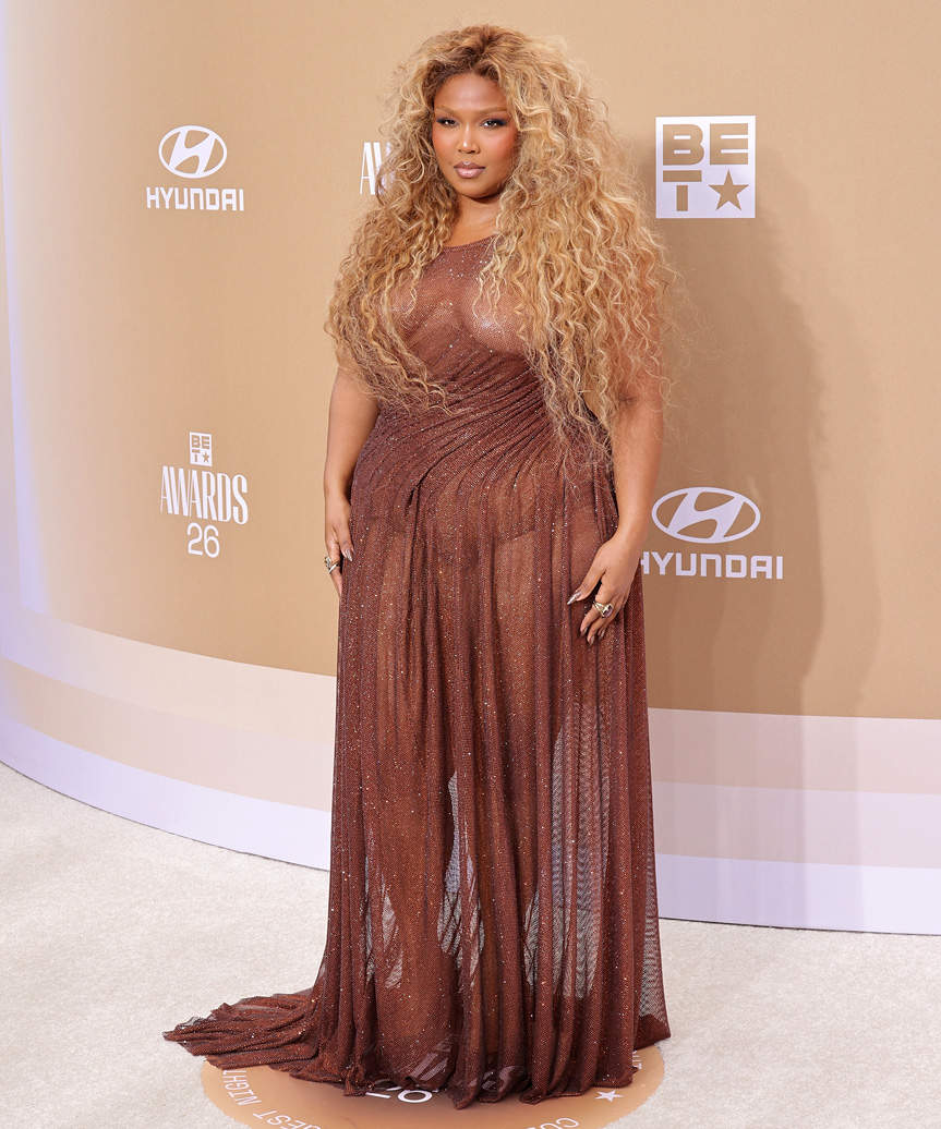 Lizzo Hairstyle Bold Hairstyle With Loose Spiral Curls - view from the side