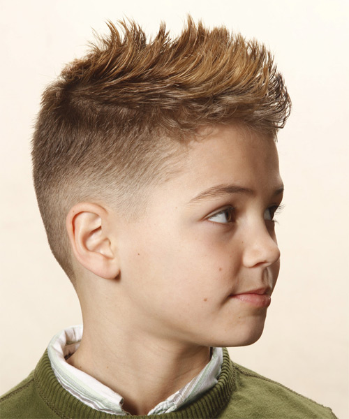  Short Straight   Caramel   Hairstyle  for Men - Side on View