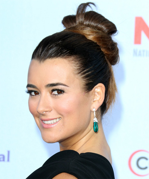 Cote de Pablo Long Straight   Dark Brunette  Updo - side on view