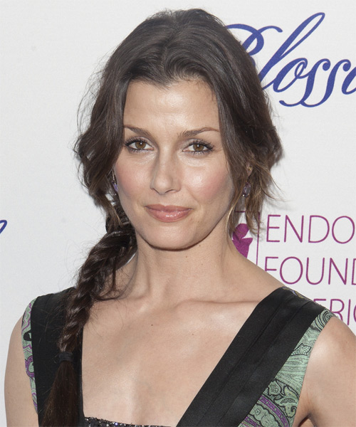 Bridget Moynahan  Long Straight    Brunette Braided Updo Hairstyle - side on view