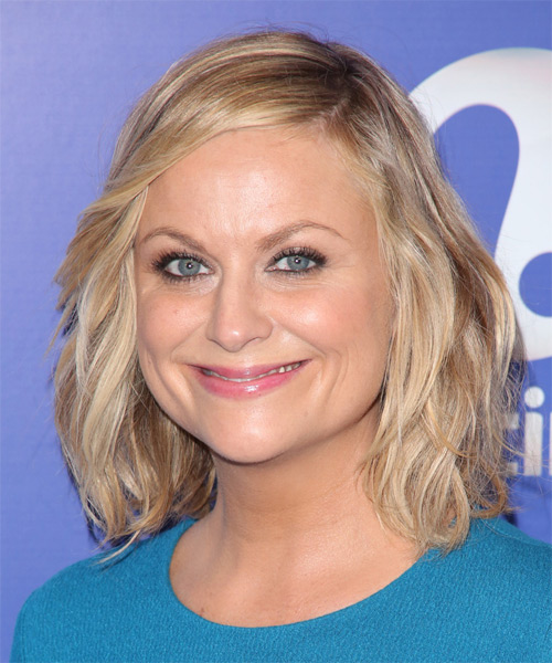 Amy Poehler Medium Straight hairstyle