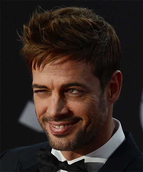 William Levy Short Straight   Light Copper Brunette Asymmetrical  Hairstyle with Side Swept Bangs  - Side View