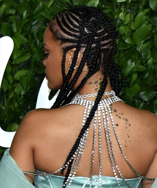 30 Trendy Two Layer Braids to Try in 2023