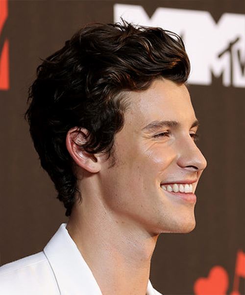 Shawn Mendes Short Wavy   Black    Hairstyle   - Side View