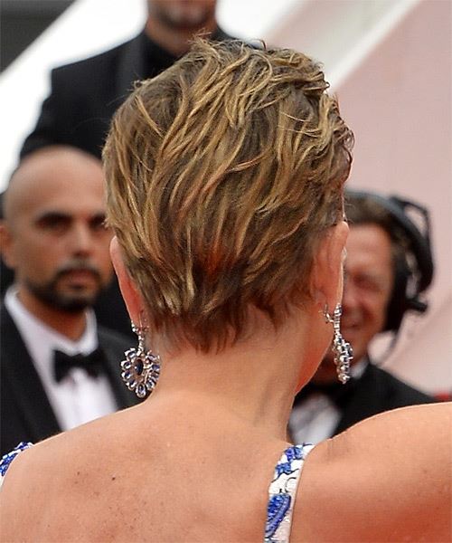 Sharon Stone Layered  Light Brunette Pixie    with Light Blonde Highlights - side view