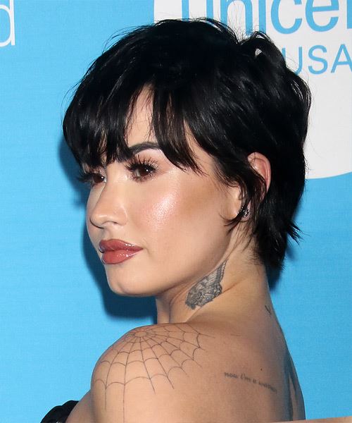 Demi Lovato Short Black Hairstyle - side view