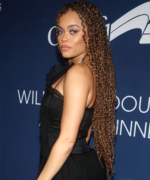 Andra Day Long Hairstyle With Tight Curls - side view
