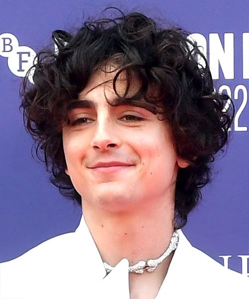 Timothee Chalamet Hairstyle With Curls - side view