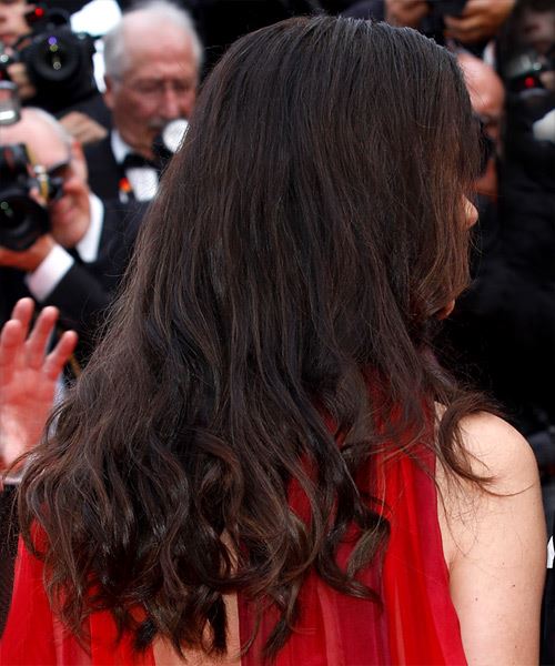 Catherine Zeta-Jones Hairstyle From Cannes Film Festival 2023 - side view