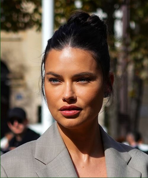 Adriana Lima Updo Hairstyle - side view