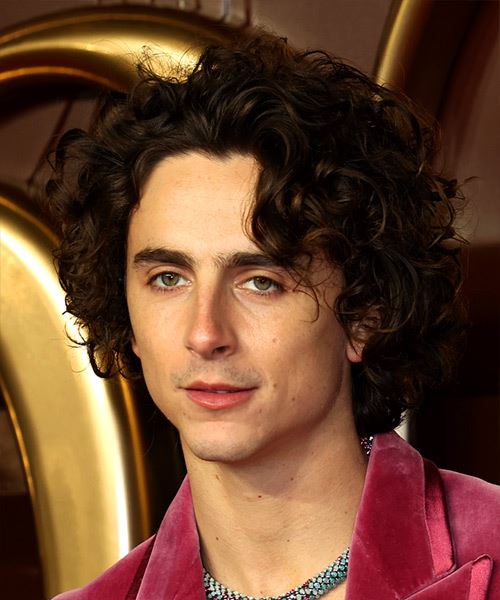 Timothee Chalamet Casual Curly Hairstyle - side view